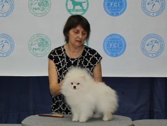 Pom Taylor Corazon De Leon