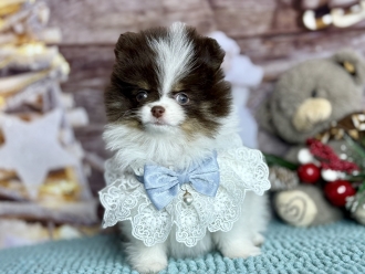 ФИЛАТЕЛИЯ