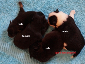 литера Ю( жми на фото)